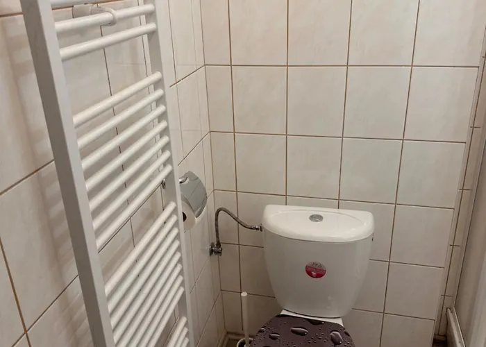 Sedmicka Benesov nad Cernou